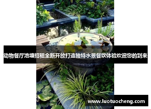 动物餐厅池塘招租全新开放打造独特水景餐饮体验欢迎您的到来