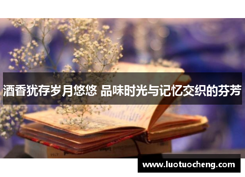 酒香犹存岁月悠悠 品味时光与记忆交织的芬芳
