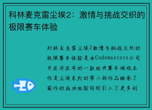 科林麦克雷尘埃2：激情与挑战交织的极限赛车体验
